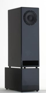 Renfort de grave pour monitoring Dejconcept hp 8 pouces