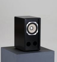 Laque piano Monitoring Djeconcept hyper compact avec large bande Fostex Fx 120